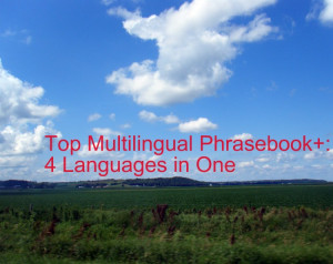 purchase a copy of the top haitian creole multilingual phrasebook+ ...