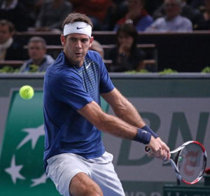 Del Potro takes first-round match in the Netherlands 8 months ago