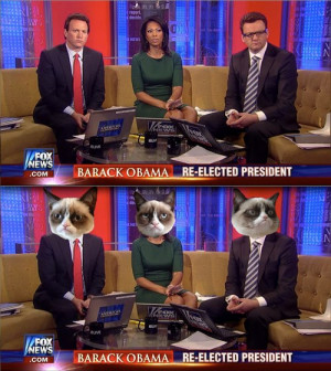 Fox News reactions to Obama re-election: Grumpy Cat remix.