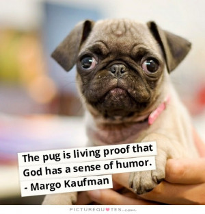 God Quotes Dog Quotes Funny Dog Quotes Sense Of Humor Quotes Pug ...