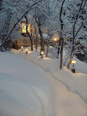 ... Winter Snow, Winter Cabin, Winter Scene, Night Lights, Winter