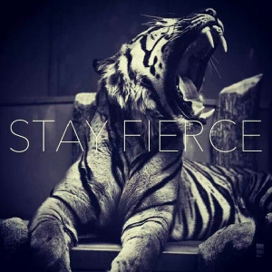 Stay fierce #quoteBig Yawning, Big Cat, Wild, Animal Kingdom, Nature ...