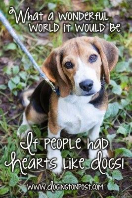 If people only had hearts like dogs