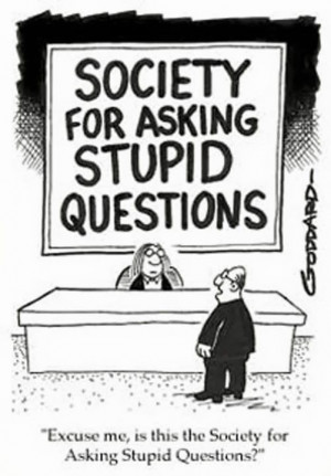 Just Plain Stupid | Welcome to the Society for Asking Stupid Questions ...