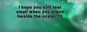 hope you still feel small when you stand beside the ocean 3