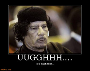 Funny Videos, Pictures, Demotivational Posters, Animals, Kids