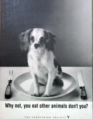 Animal Rights So Sad :(
