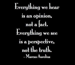 ... , not a fact. Everything we see is a perspective, not the truth