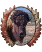 Native American Quotes About Buffalo http://www.printfection.com ...