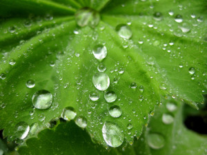 Has some good thought come to you?