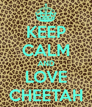KEEP CALM AND LOVE CHEETAH