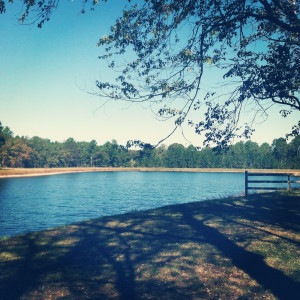 Cheer Back Spot Quotes Of this exact spot.