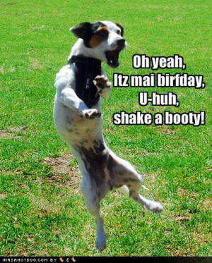 funny-dog-pictures-dog-does-a-dance-on-his-birthday