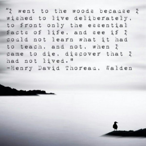From Henry David Thoreau, Walden