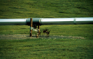 Alaska’s Arctic National Wildlife Refuge regained national attention ...