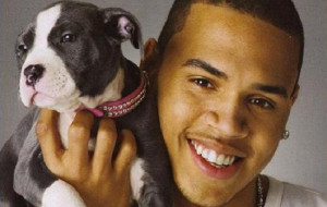 the world almost forgot that Chris Brown did this to Rihanna’s ...