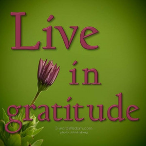 Live in gratitude