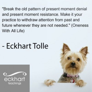 Eckhart Tolle (and hug a dog, always in the now)