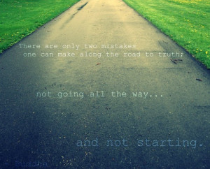 buddha, buddha quote, grass, light, nature, photo, photograph ...