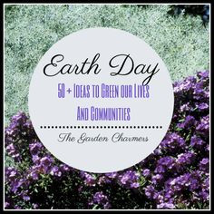 Cute Earth Day Quotes ~earth friendly tips from the