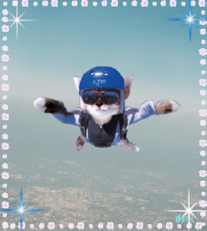 description funny skydiving photos funny text messages app funny stuff ...