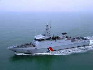 Amoral Videos Pictures And