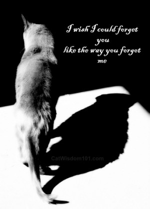 Wish I Could Forget You Like The Way You Forget Me. ~ Cat Quotes