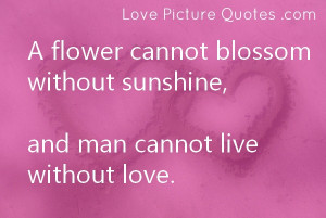 love quotes