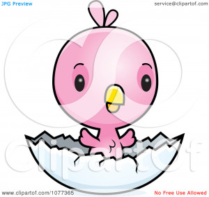 Clipart Cute Baby Pink Chick Hatching - Royalty Free Vector ...