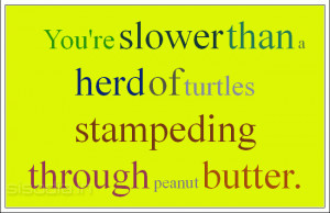 You're slower than a herd of turtles stampeding through peanut butter.