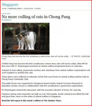 640 x 737 · 96 kB · jpeg, No more culling of cats in Chong Pang