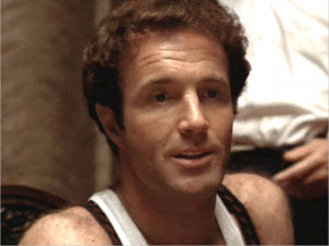 within the godfather films sonny corleone has always been my favorite ...