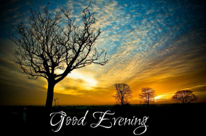Have A Good Evening Quotes Filed under good evening quotes