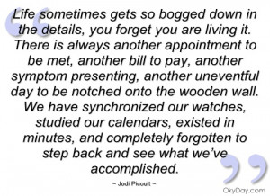 life sometimes gets so bogged down in the jodi picoult