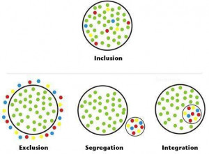 Picture of Inclusion: What It Really Looks Like