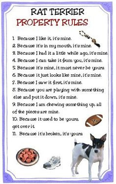 RAT TERRIER PROPERTY RULES Magnet. $4.79, via Etsy. This applies to ...