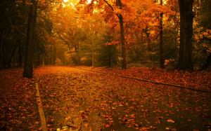Fall Screensavers for Desktop - HD Wallpapers
