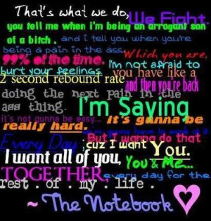 the Notebook Movie Quote 23031 Love Quotes From The Notebook