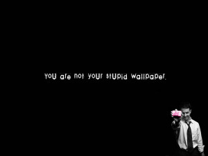 Funny Stupid Wallpaper Quotes Wallpaper with 1600x1200 Resolution
