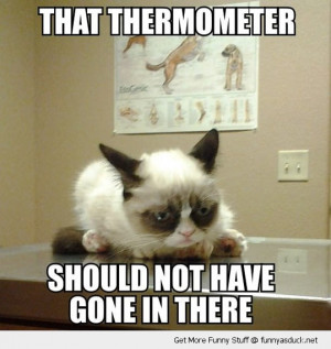 thermometer angry grumpy cat lolcat animal vet funny pics pictures pic ...