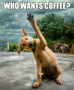 Who wants coffee