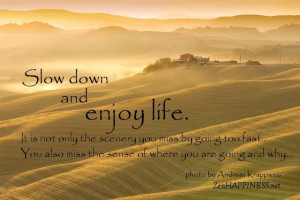 Slow Down Enjoy Life Quotes Only Scenery Miss