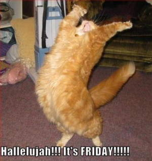 Good Morning Friday Funny