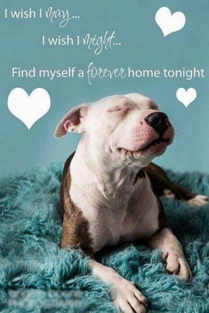 Found on she-crab.tumblr.com