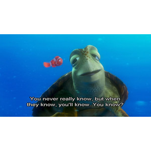 finding nemo, quote, quotes, turtle, turtles - inspiring picture on Fa ...