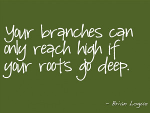 Your branches can only reach high if your roots go deep.
