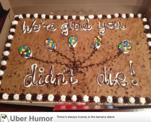 to the office today after having surgery. | Funny Pictures, Quotes ...