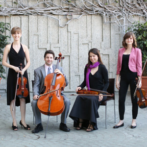 The Whyman Project String Quartet