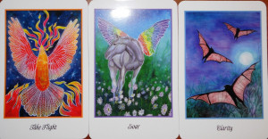 LifetimeAnimal – Phoenix, Take Flight