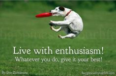 ... quotes animal stories living enthusiasm quotes inspiration quotes